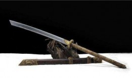 唐刀爆料视频在线观看,揭秘幕后真相，带你走进事件核心